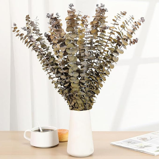16 Pcs Dried Eucalyptus Stems, 17'' Natural Fresh Eucalyptus Leaves Branches Hanging for Shower, Preserved Real Yellow Plant Live for Home SPA Wall Bathroom Wedding Party Vase Decor