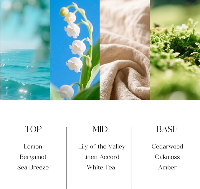 Clesh Reed Diffuser Set, 6.7 oz Linen Scented Diffuser with Sticks, Home Fragrance Reed Diffuser for Bathroom Shelf Decor, Linen Meditation