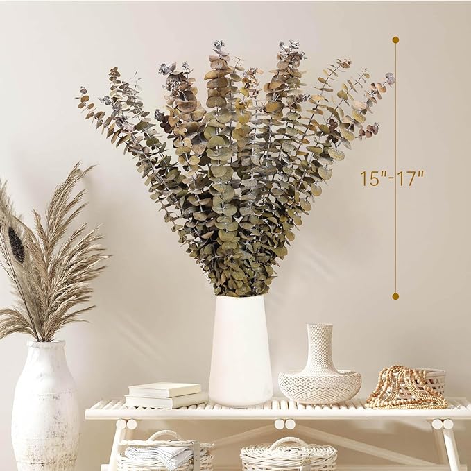 16 Pcs Dried Eucalyptus Stems, 17'' Natural Fresh Eucalyptus Leaves Branches Hanging for Shower, Preserved Real Yellow Plant Live for Home SPA Wall Bathroom Wedding Party Vase Decor