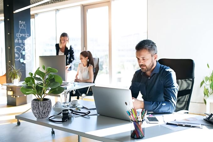 AlphaAcc Artificial Plants Real Looking and Touching Fake Plant Evergreen Plastic Fiddle Leaf Fig Plant with Rustic Black Cement Planter for Housewarming Office Desk Decor