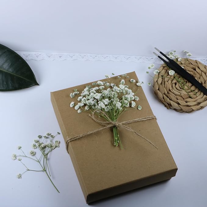 100 Pcs White Natural Baby's Breath Real Dried Pressed Flowers ,for Scrapbooking Supplies Card Making Supplies Resin Jewelry Making Soap and Candle Making.