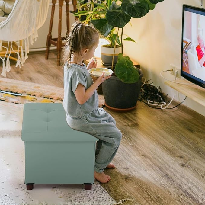 Storage Ottoman, Ottoman with Storage for Living Room Square Ottoman with Tray Lid Bedroom Storage Footstool Cube Small Ottomans Foot Rest Stool with Legs Foldable Faxu Leather 15" Inches