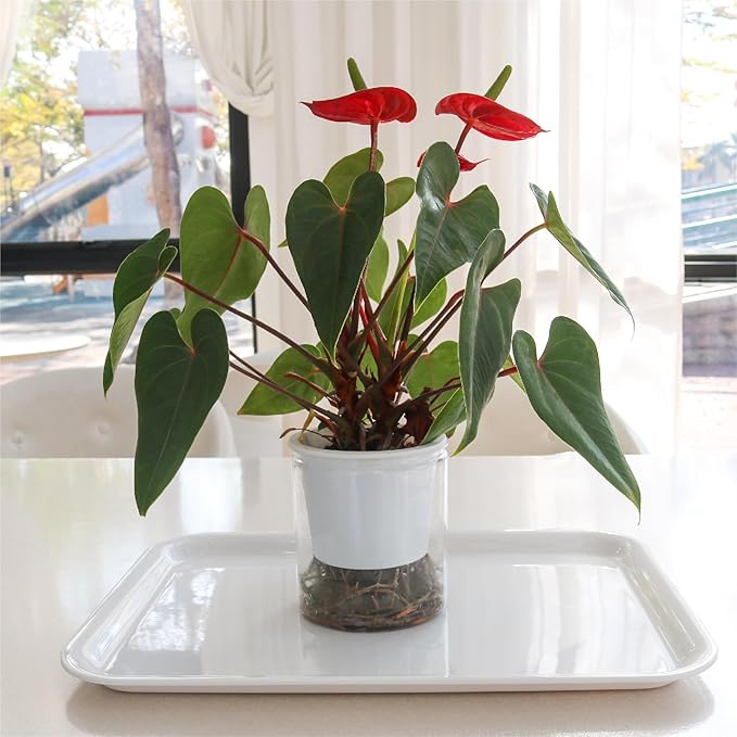 17 x 12 inches Melamine Serving Tray, Dinner Plate Tray, Serving Platter for Appetizers, Breakfast, Drinks, Barbecues and Parties, White, Set of 2