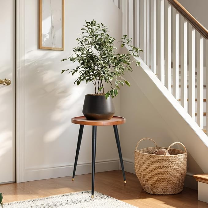 Plant Stand Indoor, Mid Century Wood Plant Table Plant Holder with Raised Design,Heavy Duty Metal Tall Flower Pot Stand, Modern Home Decor Small Round Side End Table(11.8"x16")