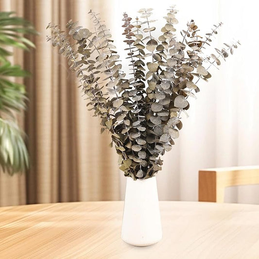 16 Pcs Dried Eucalyptus Stems, 17'' Natural Fresh Eucalyptus Leaves Branches Hanging for Shower, Preserved Real Plant Live for Home SPA Wall Bathroom Wedding Party Vase Decor