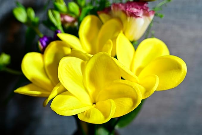 Birthday Gifts for Women 10pcs Yellow Flowers PU Real Touch Flowers Hawaiian Plumeria Frangipani Artificial Flowers for DIY Birthday Gifts Wedding Gifts Home Decor Table Centerpiece