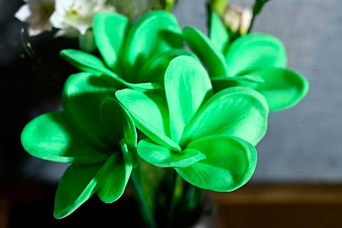Birthday Gifts for Women 10pcs Christmas Green Flowers PU Real Touch Flowers Hawaiian Plumeria Frangipani Artificial Flowers for DIY Birthday Gifts Wedding Gifts Home Decor Table Centerpiece