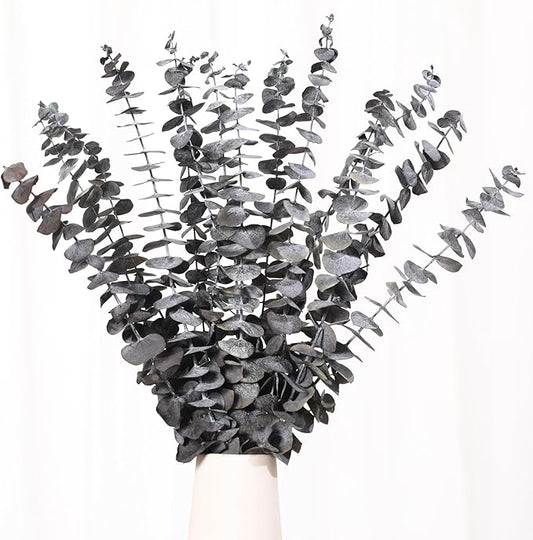16 Pcs Dried Eucalyptus Stems, 17'' Natural Eucalyptus Leaves Branches Hanging for Shower, Preserved Real Black Plant Live Greenery for Home SPA Wall Bathroom Wedding Party Vase Decor