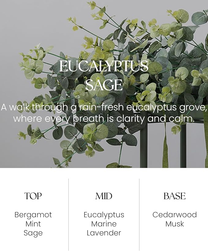 M&SENSE Eucalyptus Sage Reed Diffuser Set - 8.79fl oz Home Fragrance Non-Toxic Natural Essential Oil Diffuser with Sticks, Air Freshner Gifts for Home Fragrance Decor