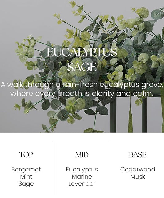 M&SENSE Eucalyptus Sage Reed Diffuser Set - 8.79fl oz Home Fragrance Non-Toxic Natural Essential Oil Diffuser with Sticks, Air Freshner Gifts for Home Fragrance Decor