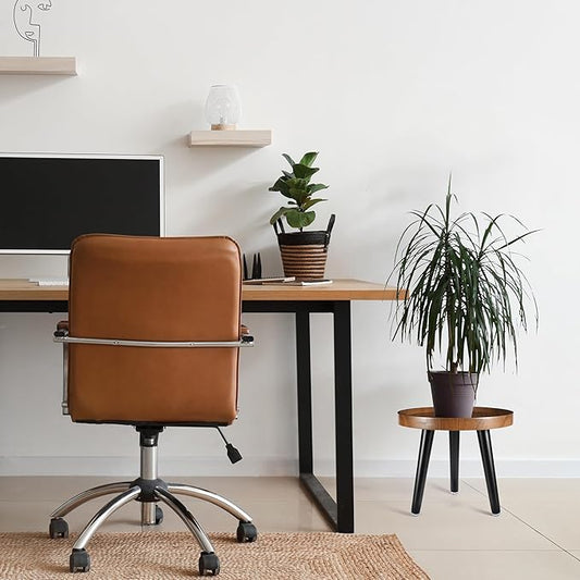 Indoor Plant Stand,Wood Mid Century Plant Table in Walnut Finish,Tall Plant Stand for Flower Pot,Modern Round Small Side End Table with Raised Design (Walnut, 12"x10.8")