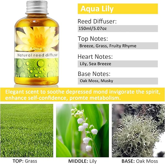 Reed Diffuser Set, Home Fragrance & Decorative Diffuser, Dried Flower Aromatherapy Oil Set, Oil Diffuser Sticks, Ceramic Bottle 5.07 oz(150ml) /1 Pack (Aqua Lily)