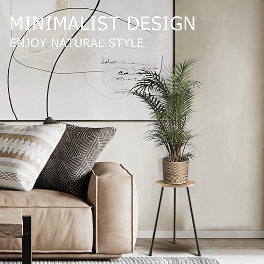 Tall Plant Stand, Mid Century Wood Indoor Plant Stand Plant Table for Flower Pots, Metal Plant Holder, Modern Home Decor Small Round Side End Table (11.8"x20")