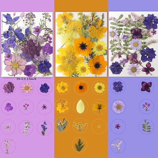 180Pcs Dried Pressed Flowers, Natural Dried Flowers Bulk for Resin, Mixed Color Dried Flowers for DIY Crafts, Candle Holders, Nails, Epoxy Resin Jewelry, Floral DIY Art, Decor, DIY Supplies Kits