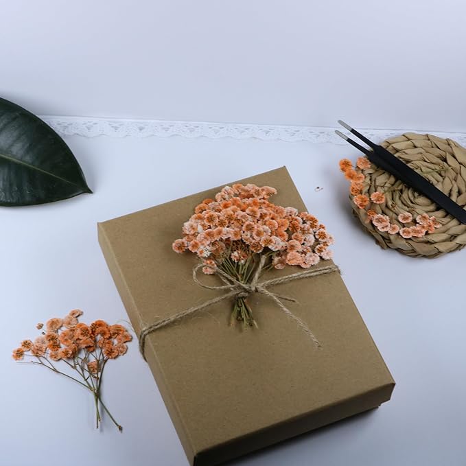 100 Pcs Orange Small Dried Babys Breath Flowers for Resin ,Real Dried Babys Breath Pressed Flower for Wedding Invitations Wax Seals ,Dry Flat Baby's Breath Flower with 1 Tweezers.