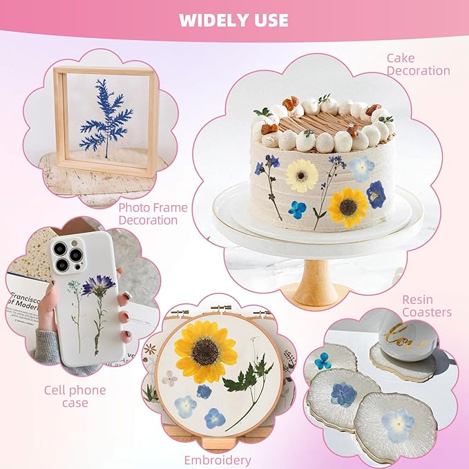 12“ Large Bulk Summer Dried Pressed Flowers for Glass Frame, Real Dry Natural Flower Leaf Daisy for Resin Mold, Cake Decor, Phone Cases (Calm Blue)