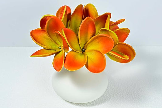 Birthday Gifts for Women Men 10pcs Unique Red Green Flowers PU Real Touch Flowers Hawaiian Plumeria Frangipani Artificial Flowers for DIY Birthday Gifts Wedding Gifts Home Decor Table Centerpiece