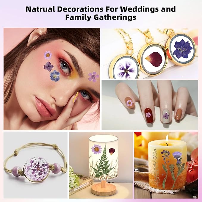 12“ Large Bulk Dried Pressed Flowers for Glass Frame, Real Dry Natural Flower Leaf for Resin Mold, Cake Decor, Holiday Decorations, Phone Cases, Invitations (Purple Haze)