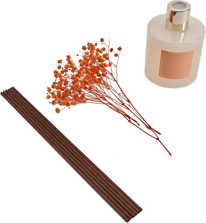 Cocorrína Premium Reed Diffuser Set with Preserved Baby's Breath & Cotton Stick Coconut Lime | 6.7oz Scent Fragrance Oil Diffuser for Bedroom Bathroom Home Décor