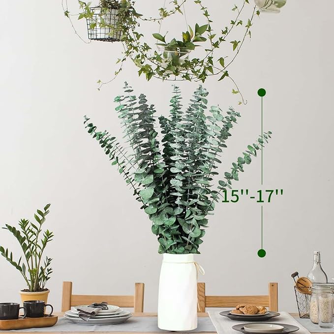 16 Pcs Dried Eucalyptus Stems, 17'' Natural Fresh Eucalyptus Leaves Branches Hanging for Shower, Preserved Real Plant Live Greenery for Home SPA Wall Bathroom Wedding Party Vase Decor