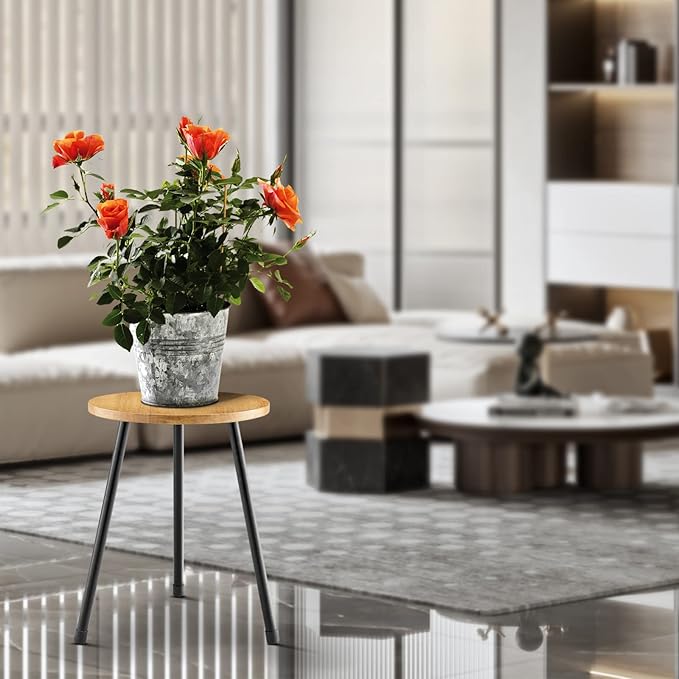 Indoor Plant Stand, Mid Century Wood Plant Stand Plant Table for Flower Pots, Tall Metal Plant Holder, Modern Home Decor Small Round Side End Table (11.8"x16")