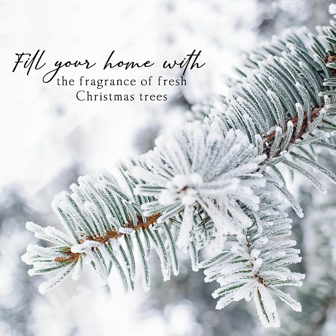 Christmas Reed Diffuser, 6.7 Fl.Oz Balsam & Cedar Scented Diffuser with 6 Sticks, Long Lasting Reed Diffuser for Home, Bathroom Shelf Decor & Gift, Decorative Air Freshener Room Diffuser