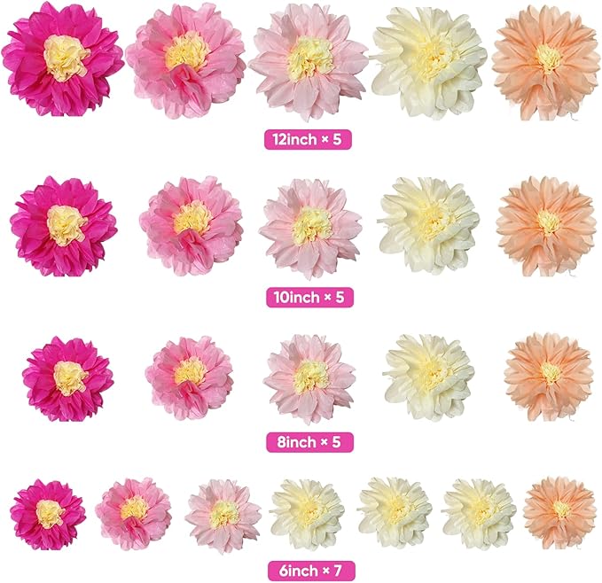 BRT Bearingshui Tissue Paper PomPoms Flower 22 Pcs Pink,Light Pink,Hot Pink,Ivory,Light peach Chrysanth Flower for Nursery Wall Birthday Bachelorette Wedding Baby Shower Bridal Shower Party Decoration