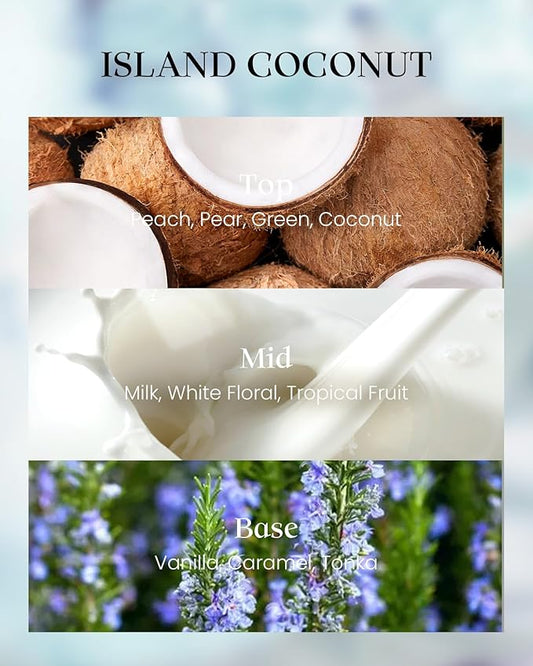 M&SENSE Coconut Candles, 8.1oz 42-Hour Long Burning Time Naturally Scented Candles,Vegan Soy, Relax Stress Relief Meditation Home Fragrance,Housewarming Gifts for Women & Men