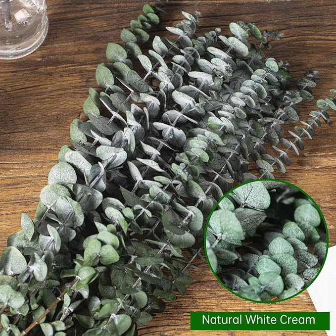 16 Pcs Dried Eucalyptus Stems, 17'' Natural Fresh Eucalyptus Leaves Branches Hanging for Shower, Preserved Real Plant Live Greenery for Home SPA Wall Bathroom Wedding Party Vase Decor