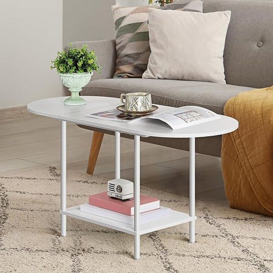 Small Oval Coffee Tables Modern Low Coffee Table for Small Space Mid Century Center Side Table with Open Shelving for Storage, Display, and Furniture Living Room & Home Office