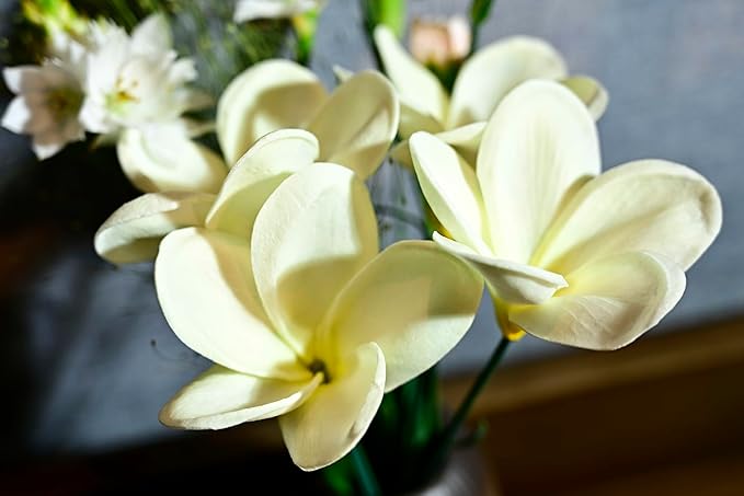 Birthday Gifts for Women 10pcs Warm White Flowers PU Real Touch Flowers Hawaiian Plumeria Frangipani Artificial Flowers for DIY Birthday Gifts Wedding Gifts Home Decor Table Centerpiece