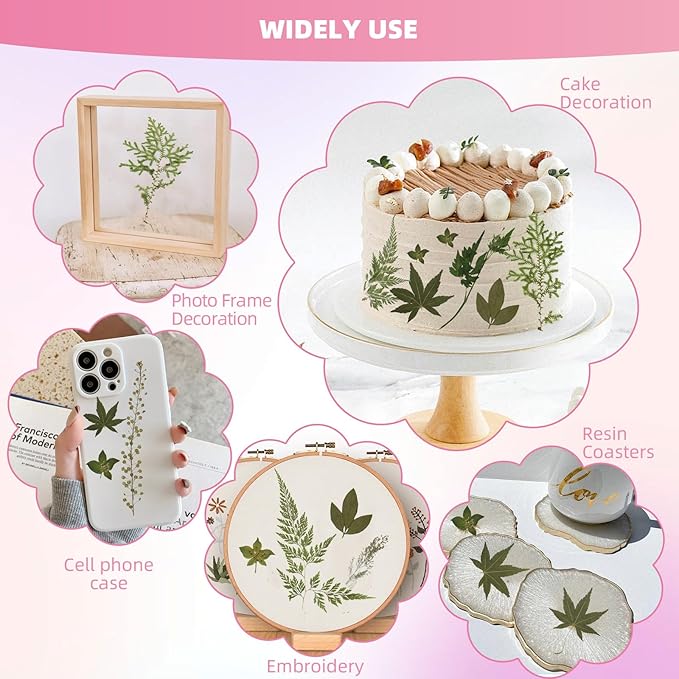 12“ Large Bulk Summer Dried Pressed Flowers for Glass Frame, Real Dry Natural Flower Leaf Daisy for Resin Mold, Cake Decor, Phone Cases (Dried Green Leaves)