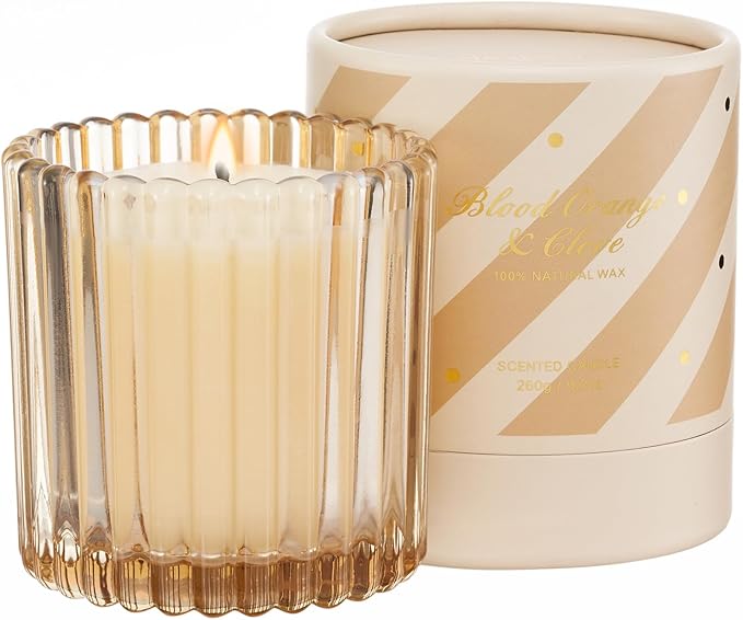 M&SENSE Blood Orange Clove Scented Candles, 1 Wick Jar Candle, Christmas Fall Gifts for Home Decor, Up to 60 Hours Burning, Natural Soy Wax Relaxing Aromatherapy Candle