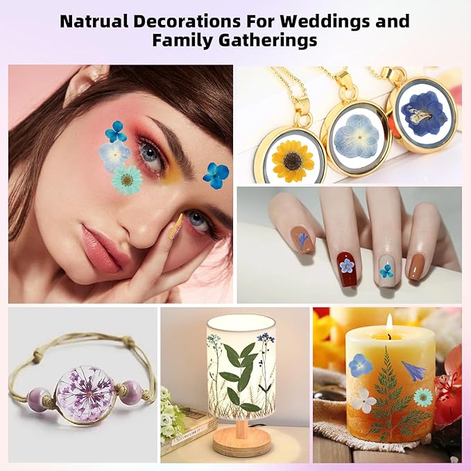 12“ Large Bulk Summer Dried Pressed Flowers for Glass Frame, Real Dry Natural Flower Leaf Daisy for Resin Mold, Cake Decor, Phone Cases (Calm Blue)