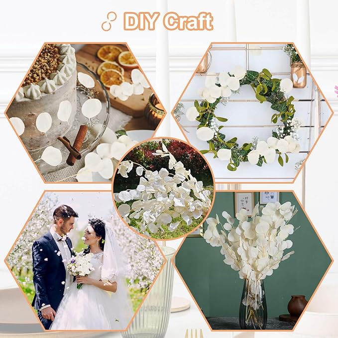 10 PCS Real Creamy White Silver Dollar Eucalyptus Stems for Vase - 15"-17" Fresh & Dried Eucalyptus Leaves Bundle, Natural Greenery Plants for Home, Wedding, Boho Decor & DIY Crafts