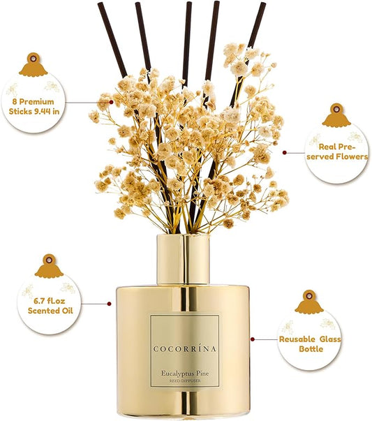 COCORRÍNA Reed Diffuser - Eucalyptus Pine Diffuser with 8 Sticks Home Fragrance Christmas Reed Diffuser for Bathroom Shelf Decor Home Decor