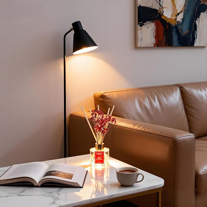 Reed Diffuser Set - 3.38 fl oz （100ml） Red Berries Home Fragrance Reed Diffuser for Bathroom Shelf Decor 6 Reed Stick