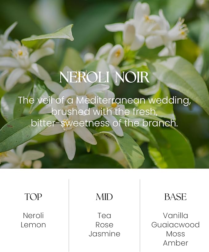 M&SENSE Neroli Noir Reed Diffuser Set - 8.79fl oz Home Freshner Fragrance Non-Toxic Essential Oil Diffuser with Natural Sticks, Air Freshner Gifts for Bedroom Bathroom