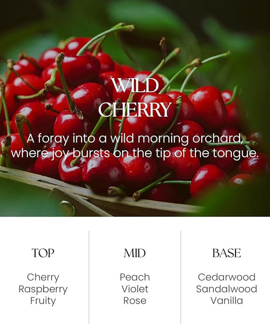 M&SENSE Wild Cherry Reed Diffuser Set - 8.79fl oz Home Fragrance Non-Toxic Natural Essential Oil Diffuser with Sticks, Air Freshner Gifts for Home Fragrance Decor