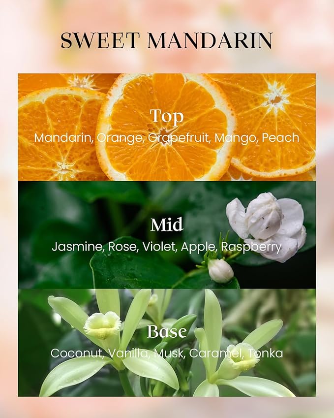 M&SENSE Citrus Scented Soy Candles,Vegan,No Toxin,8.1oz 42-Hour Slow Burning Time,Sweet Mandarin Heavy Scented Candle,Air Purifying Aromatherapy Office Home Fragrance