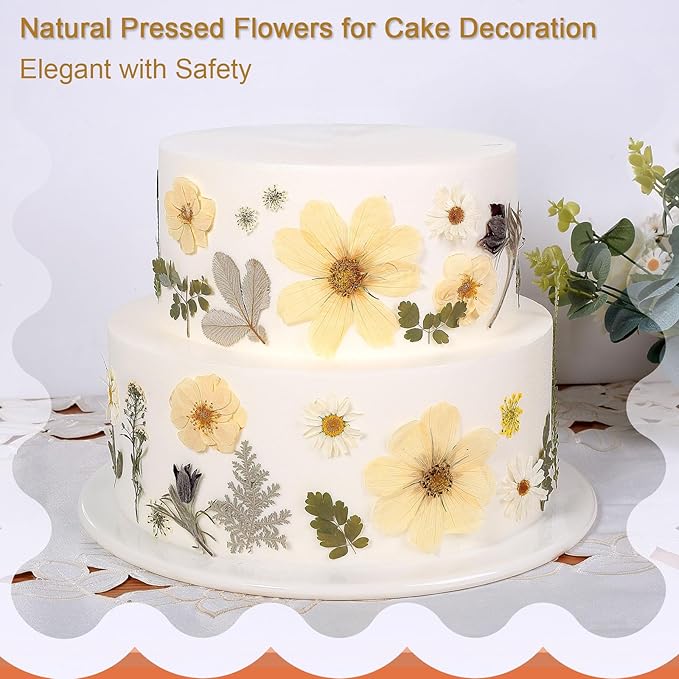 12“ Large Dried Pressed Flowers for Art Crafts, Real Dry Natural Flower Leaf Fruit Bulk for Resin Mold, Cake Decor, Glass Frame (Winter Silver)