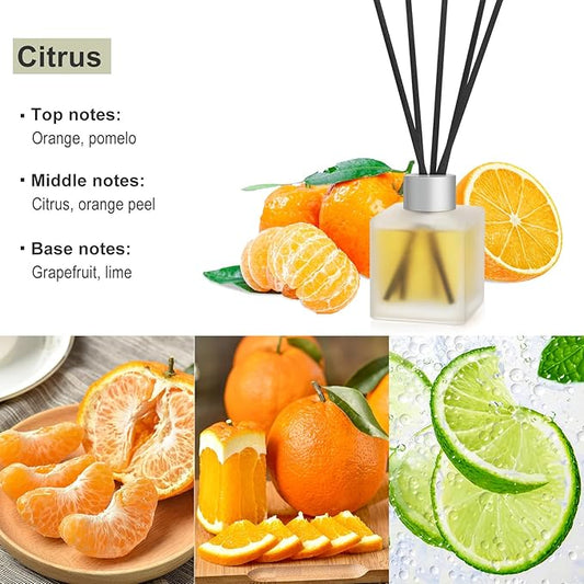 Reed Diffuser, Citrus & Orange Scented Oils Home Fragrance, 3.4fl oz(100ml) Long Lasting Fruity Air Freshener, Essential Oil for Bathroom Guest Room Decor (1-Pack)