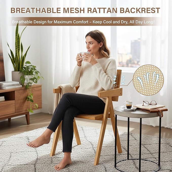 Rattan Dining Chairs Set of 2, Modern Mid Century Accent Chairs, Comfy Armchairs, Outdoor Rattan Chairs with Armrest for Bedroom Living Room Reading Room Dining Kitchen