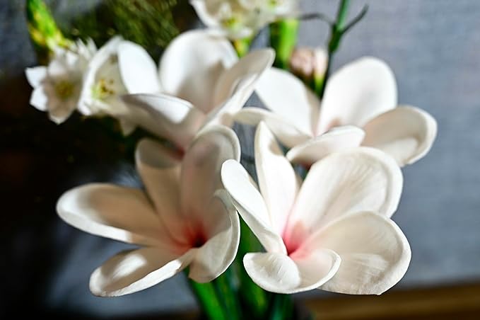 Birthday Gifts for Women 10pcs Gradient Pink Flowers PU Real Touch Flowers Hawaiian Plumeria Frangipani Artificial Flowers for DIY Birthday Gifts Wedding Gifts Home Decor Table Centerpiece