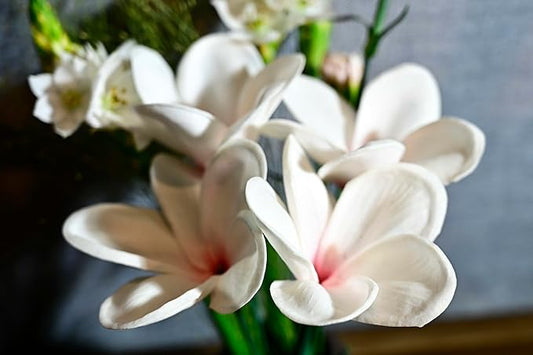 Birthday Gifts for Women 10pcs Gradient Pink Flowers PU Real Touch Flowers Hawaiian Plumeria Frangipani Artificial Flowers for DIY Birthday Gifts Wedding Gifts Home Decor Table Centerpiece