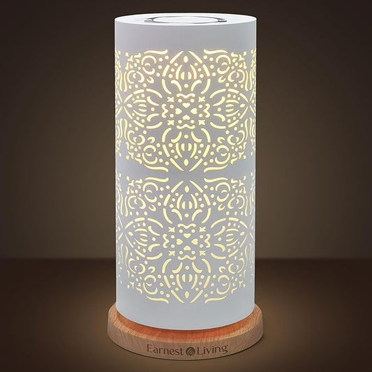 Earnest Living Waterless Diffuser 100ml Nebulizing Diffusion System for Studio Home Office Hotel Spa