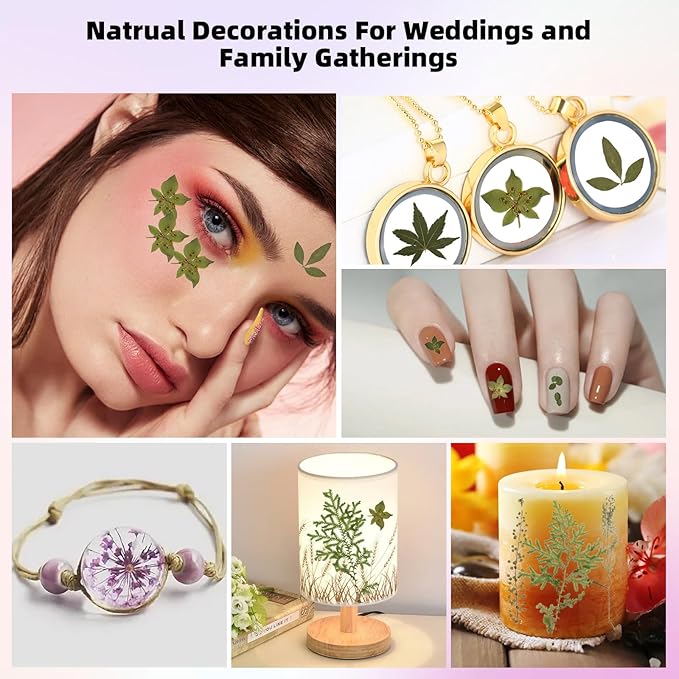 12“ Large Bulk Summer Dried Pressed Flowers for Glass Frame, Real Dry Natural Flower Leaf Daisy for Resin Mold, Cake Decor, Phone Cases (Dried Green Leaves)