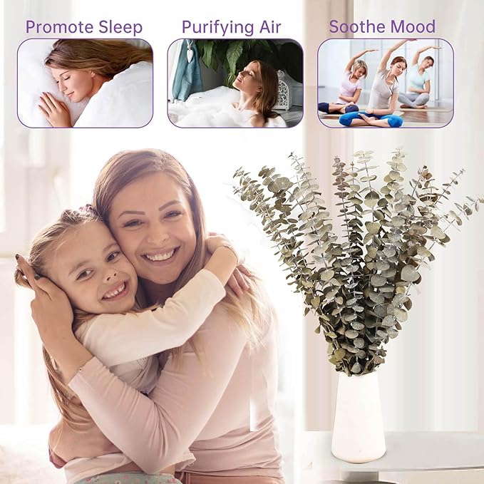 16 Pcs Dried Eucalyptus Stems, 17'' Natural Fresh Eucalyptus Leaves Branches Hanging for Shower, Preserved Real Plant Live for Home SPA Wall Bathroom Wedding Party Vase Decor