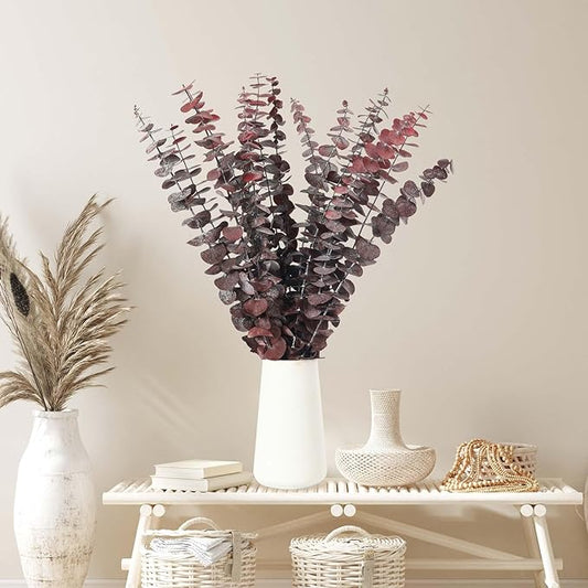 16 Pcs Dried Eucalyptus Stems, 17'' Natural Fresh Eucalyptus Leaves Branches Hanging for Shower, Preserved Real Red Plant Live Greenery for Home SPA Wall Bathroom Wedding Party Vase Decor