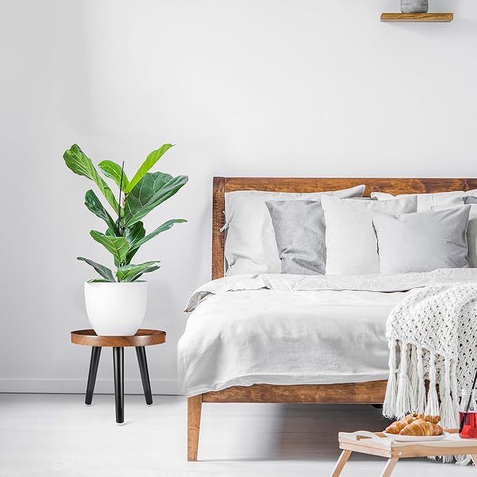 Indoor Plant Stand,Wood Mid Century Plant Table in Walnut Finish,Tall Plant Stand for Flower Pot,Modern Round Small Side End Table with Raised Design (Walnut, 12"x10.8")